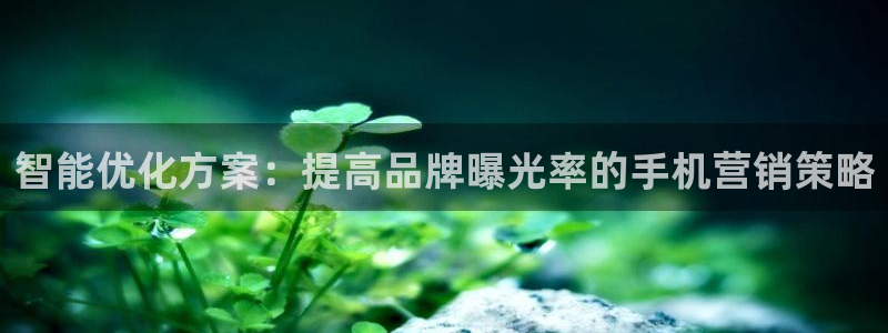 必赢九五