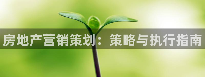 必赢app是干什么的