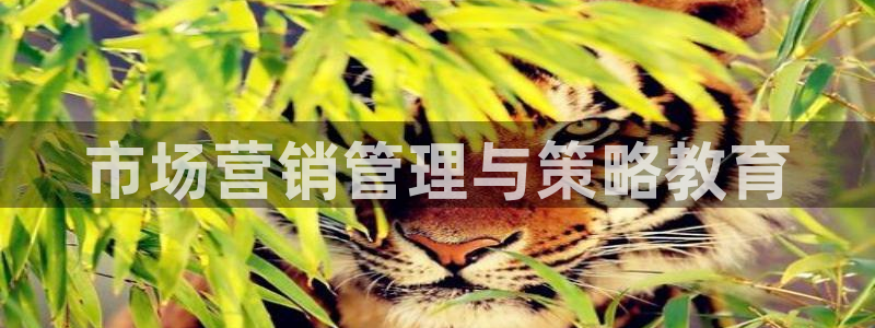 必赢7231