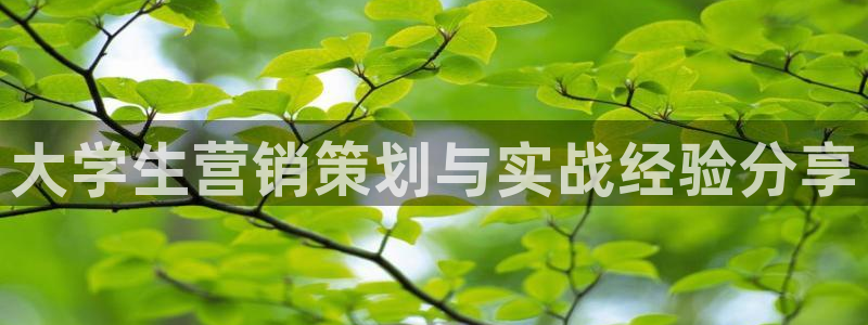 必赢亚赢网站官网下载安卓版