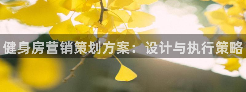 必赢官网网站入口网址