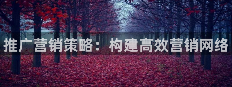 必赢手机app下载官网最新版
