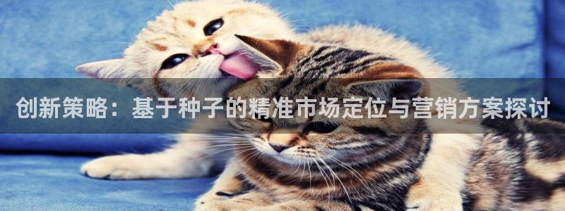 必赢官网网站入口下载