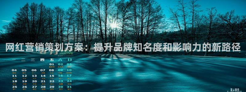 必赢网怎么打不开了
