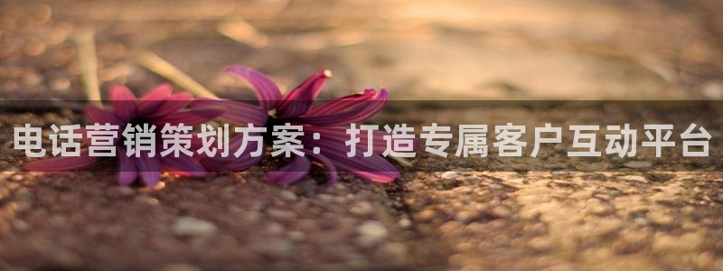 必赢活动安卓下载app
