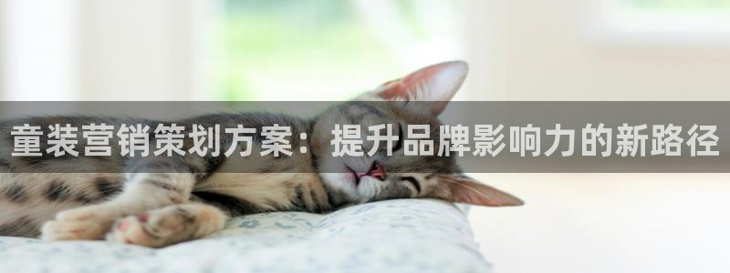 必赢棋脾9655app下载