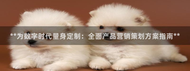 必赢app官方