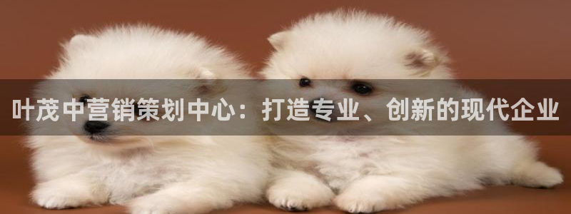 必赢科技有限公司