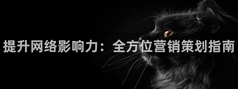必赢线上网址查询