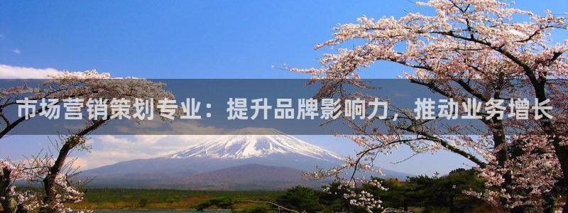 必赢365官方网登录