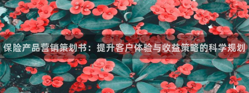 必赢手机app下载 最新版安装