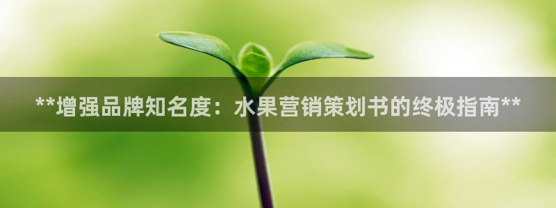 必赢下载安卓版下载