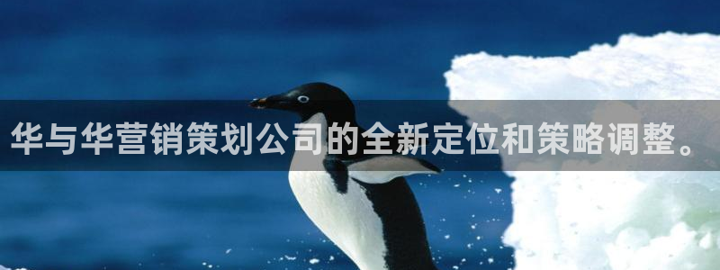 必赢国际437app下载