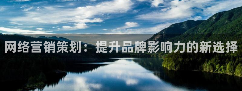 必赢这个软件怎么样啊