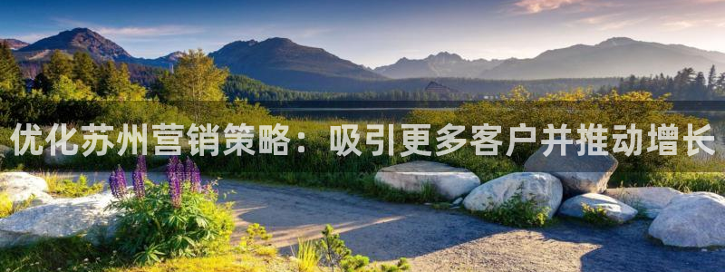 必赢72886网址多少啊