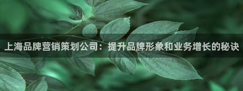 必赢8833扑鱼