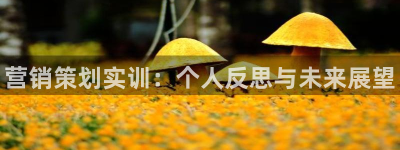 必赢网址谁知道是真的