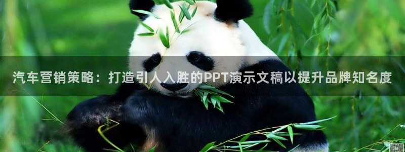 必赢科技中国有限公司