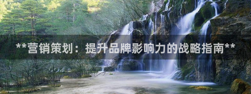 必赢3003平台