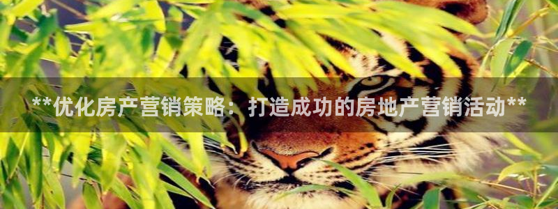 必赢首页