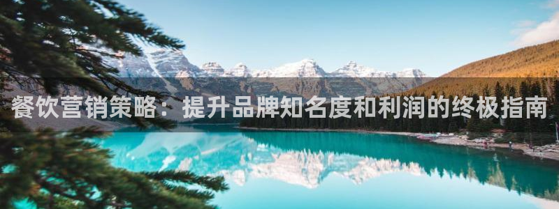 必赢官网网站入口