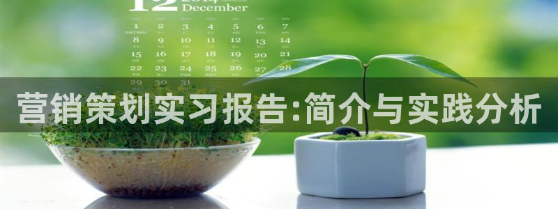 必赢官网网站首页入口