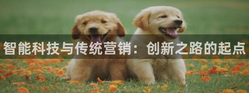 必赢手机app下载最新版本安装