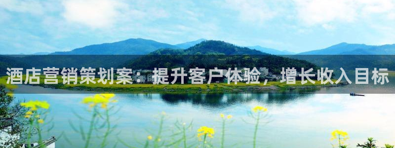必赢平台电子