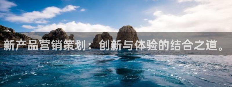 必赢网站是哪一个