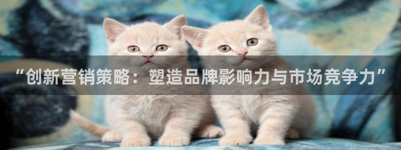 必赢棋脾9655app下载