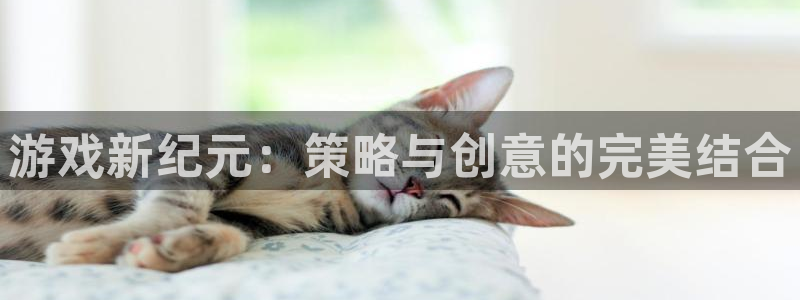 必赢平台怎么样可靠吗
