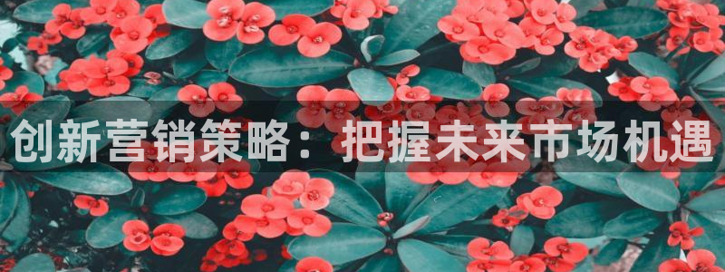 必赢516net怎么进