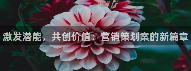 必赢网址官网