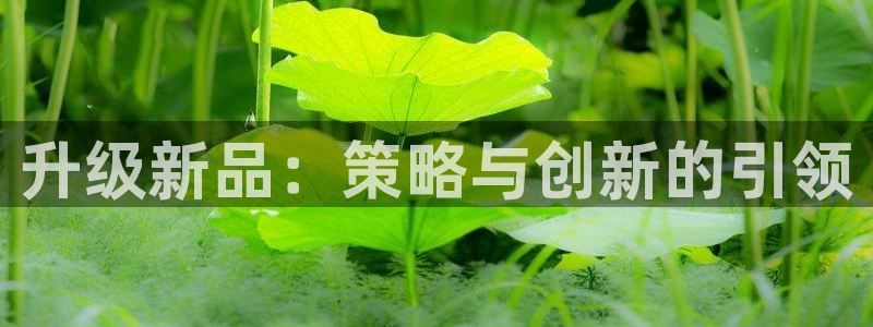 必赢旧网站