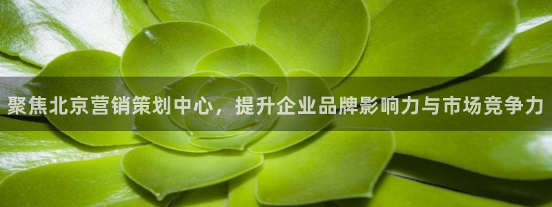必赢手机app下载最新版本安卓苹果