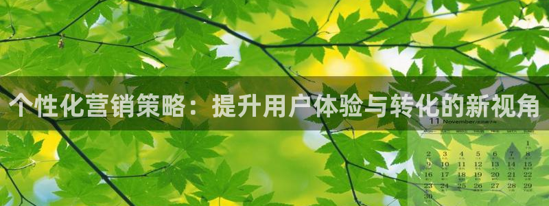 必赢3003平台