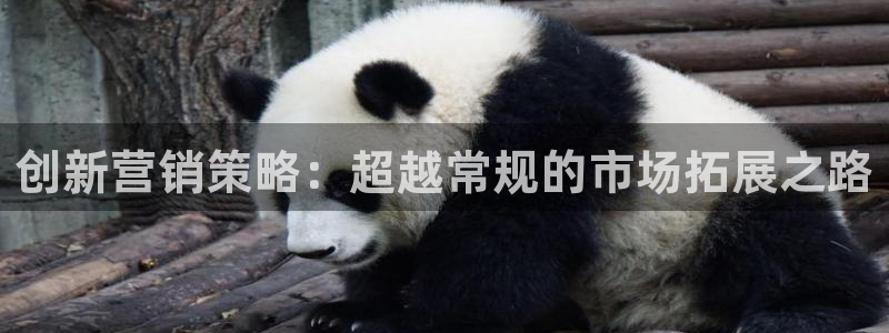 必赢516net怎么进