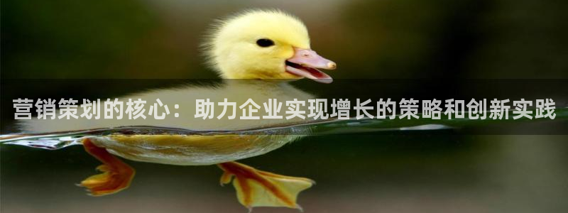 必赢的意思是什么