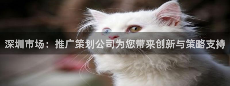 必赢app能挣钱吗安全吗