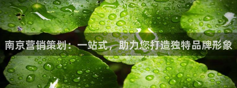 必赢下载安卓版下载