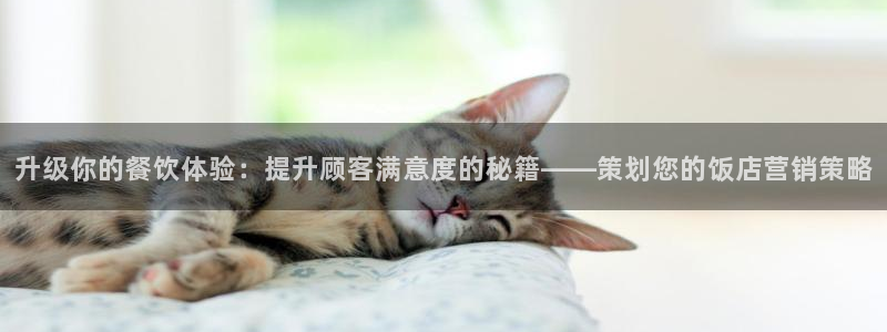 必赢手机版
