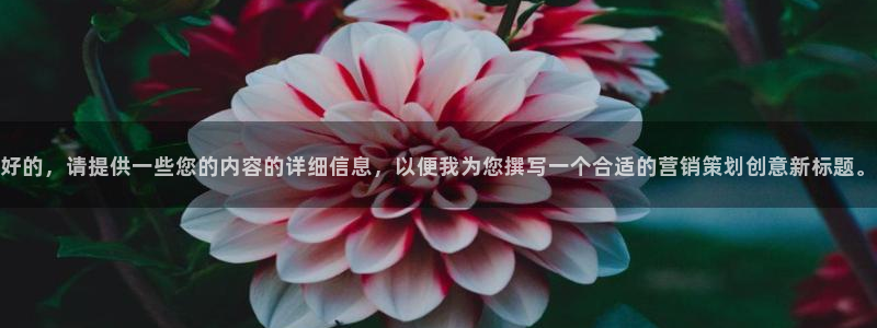 必赢手机app下载最新版安卓苹果可以用吗