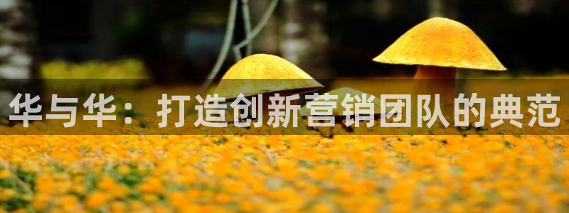必赢下载