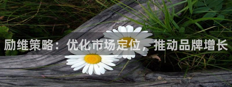 必赢官网入口下载