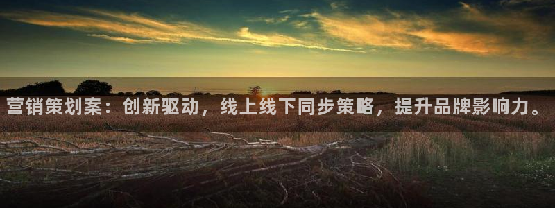 必赢72882网址：营销策划案