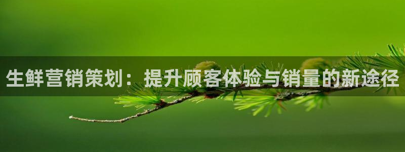 必赢国际437官网版