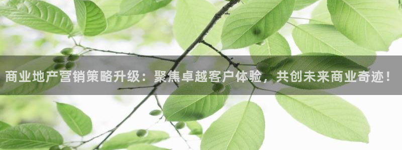 必赢72886网址多少啊