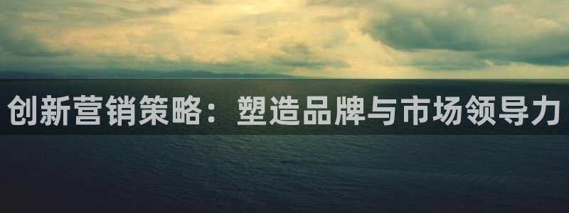 必赢亚赢网站官网下载手机版安装