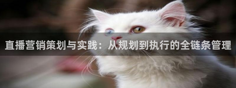 必赢这个平台怎么样啊：直播营销