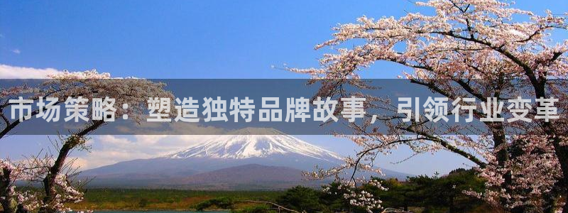 9965必赢游戏app：市场策
